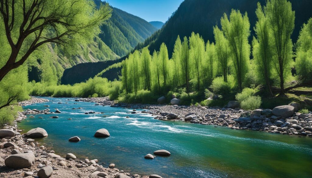 Mongolian river ecosystem